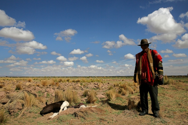 A farmer stands next to a carcass of a cow during the worst drought in 25 years in El Choro, Bolivia. Photo: David Mercado / Reuters