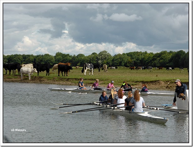 lady rowers