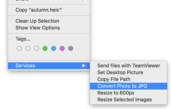 Haga clic derecho en el menú de la foto con Servicios -> Convertir foto a JPG seleccionado