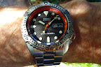 SKX171-mod