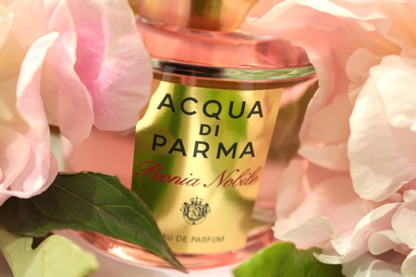 PeoniaNobileAcquaDiParma17