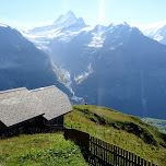 gorgeous view from First mountain in Switzerland in Grindelwald, Switzerland 