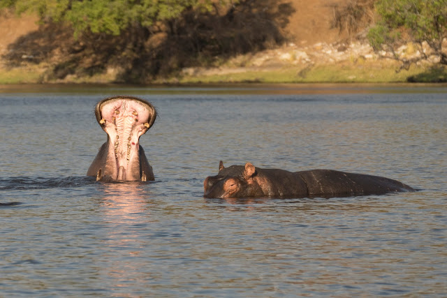 Botswana et Zimbabwe en octobre BotsZim_Oct2015_253