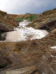 Flash flood in Three Finger Canyon