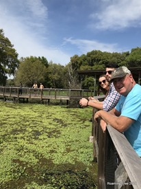 Watching the horses