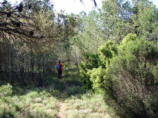 Senderismo - Puebla de Arenosos - Chorrico - Montico - Chorrador SL-CV 57