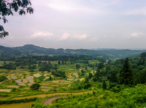 Hoshitoge Rice Terraces