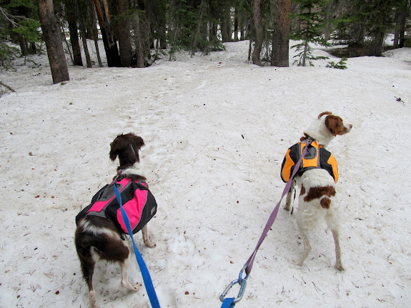 Bourbon Lake "trail"