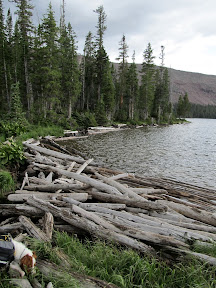 Log jam at the Grandaddy outlet