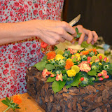 Taller tardor - DSC_0073.JPG