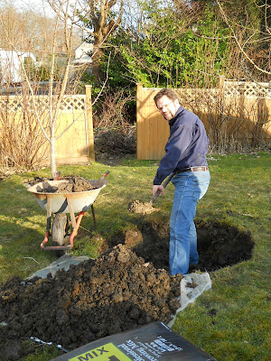 Planting a fruit tree