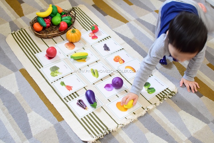 Montessori Vegetable Cards