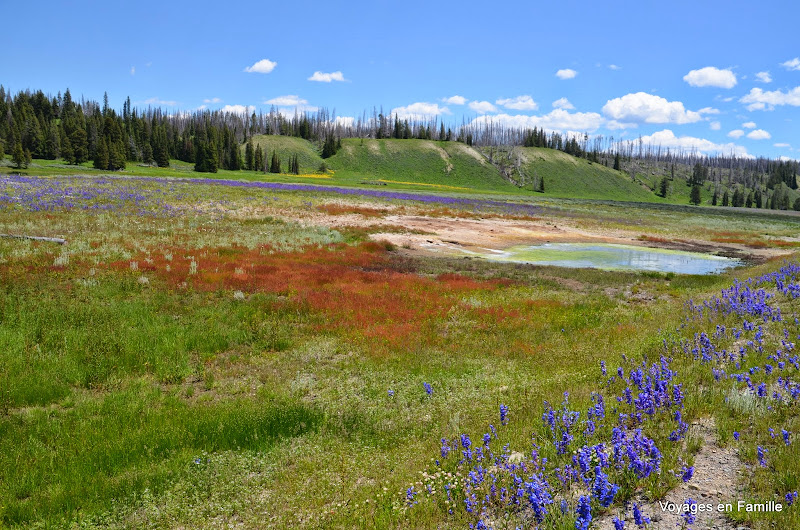 yellowstone