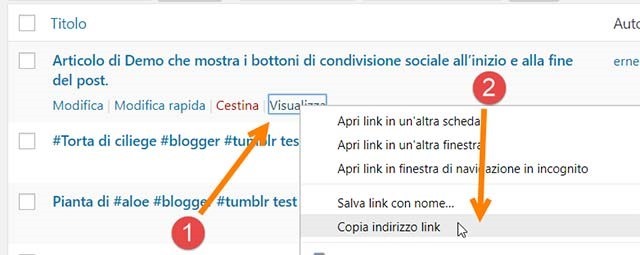 permalink-wordpress-visualizza