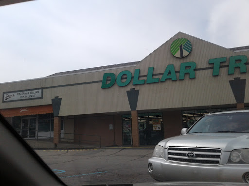 Dollar Store «Dollar Tree», reviews and photos, 208 Meadow Ave, Scranton, PA 18505, USA