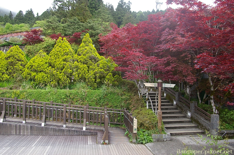 太平山國家森林遊樂區