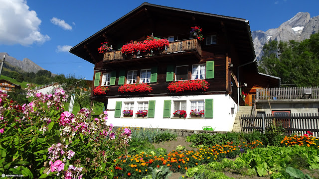 gorgeous Swiss houses on the Trotti bike trail in Grindelwald, Switzerland 