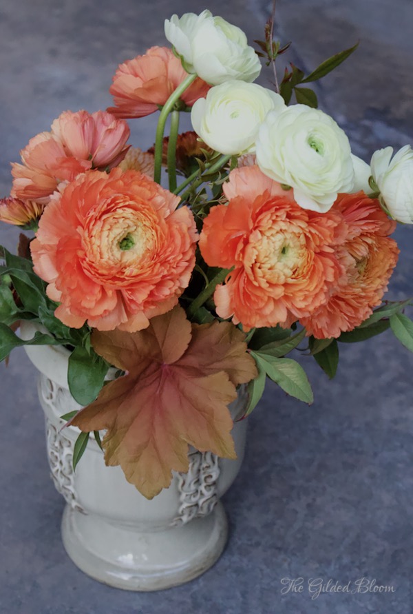 www.gildedbloom.com- The Spring Splendor of Ranunculus