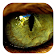 lion eyes pupil theme icon