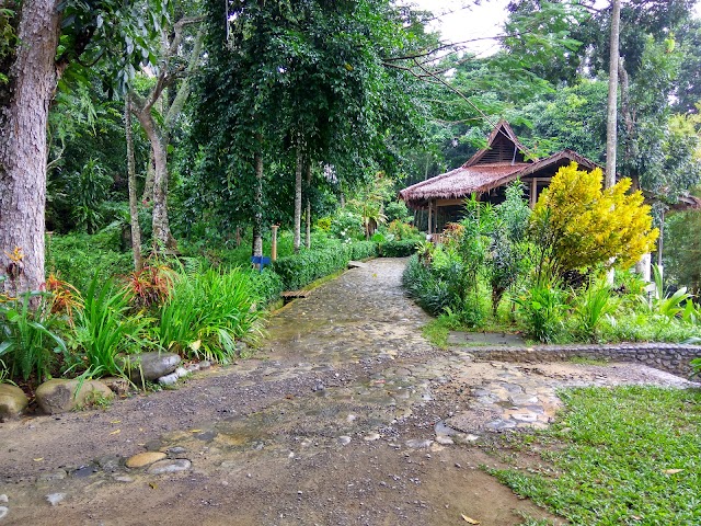 Ecolodge Bukit Lawang Cottages