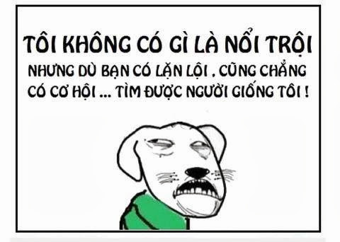 Ảnh chế vui nhộn hài hước | Nhiệp Điệu Giải Trí