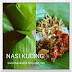 NASI KUCING