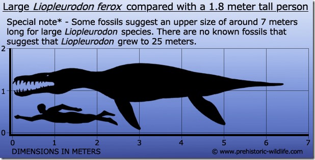 liopleurodon-size