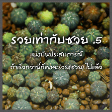 รวยเท่ากับซวย #5