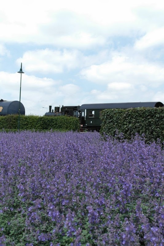  Medemblik