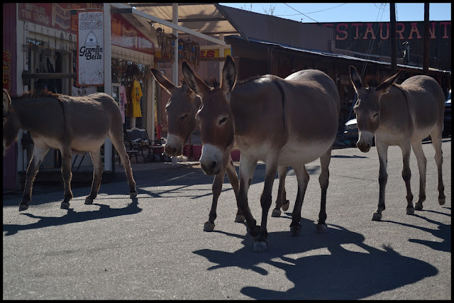 INTENSA RUTA POR LA COSTA OESTE USA 2015 - Blogs de USA - LOS ANGELES-OATMAN-KINGMAN, RUTA 66 (15)