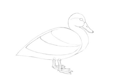 how to draw a duck