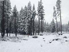 Near Donner Summit, abc10.com