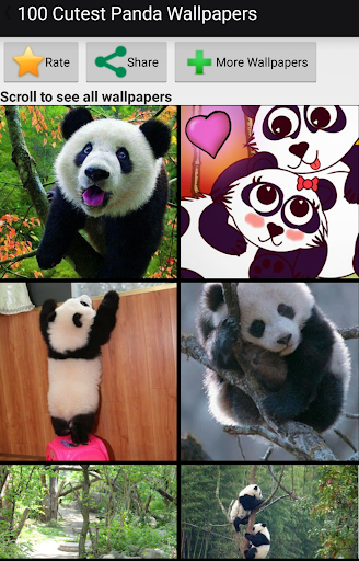 100 Cutest Panda Wallpapers