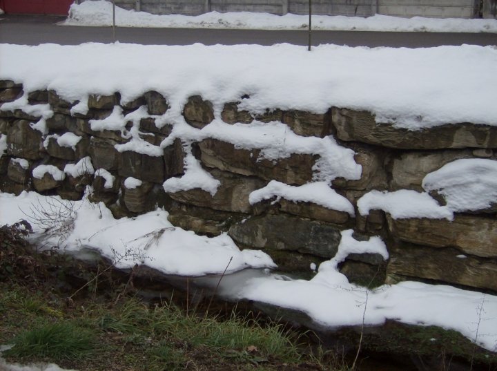 Candida neve di pellaccia