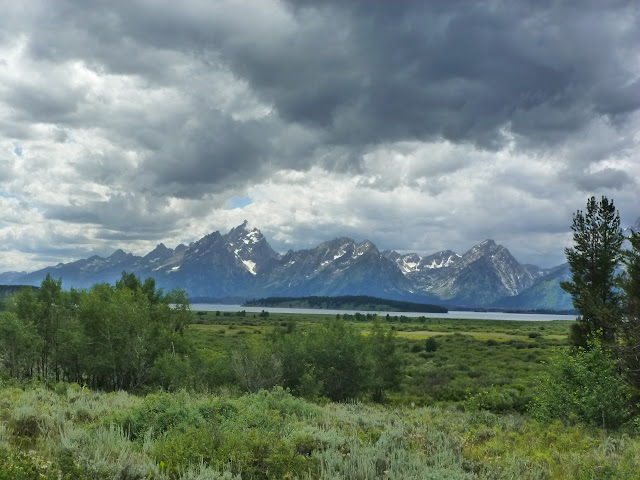 Vuelo a Jackson Hole. PN de Grand Teton. Llegada a PN Yellowstone. 11 Julio. - LAS ROCOSAS DE CANADA. YELLOWSTONE Y GRAND TETON. (16)