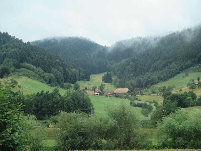 Miércoles 29 julio. Estrasburgo, Schiltach y Alpirsbach - Baviera, un paraíso cercano (11)