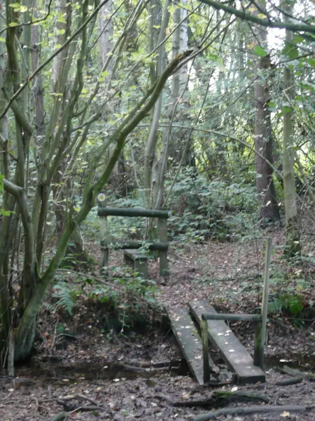Decrpid footbridge in Mossymere Woods