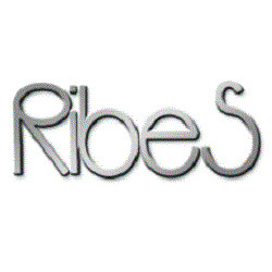 Ribes Abbigliamento logo