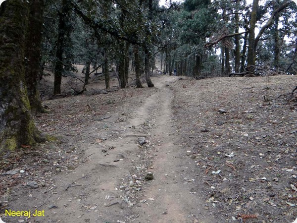 Nagtibba In january