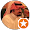 حسن الشهراني