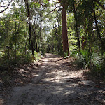 Walking along Yanina Walk (234272)