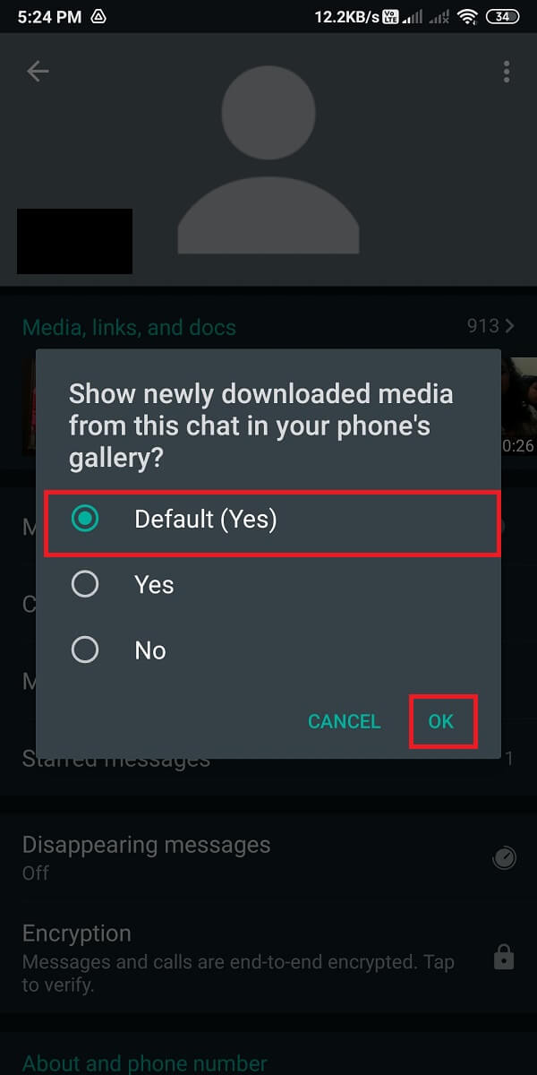 Enfin, sélectionnez '(Default) yes.'  |  Correction des images Whatsapp ne s'affichant pas dans la galerie