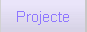 El&nbsp;Projecte&nbsp;de&nbsp;Sant&nbsp;Feliu&nbsp;On&nbsp;Line