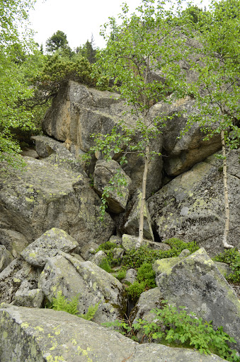 Татры, июнь 2015. с собакой