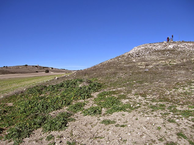 Peñiscalejo del Mojón 7