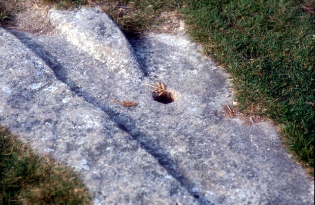 haytor-granite-tramway-8