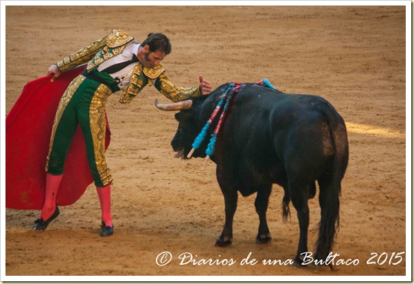 Toros Feria 2015-0005