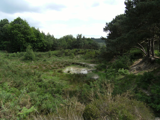 1006120051 Roo's Sandy Pit, Ashdown Forest