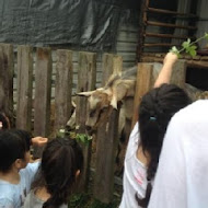 野趣複合式餐飲