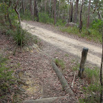 Intersection of Mouat and Toomeys Rd Trails (228205)